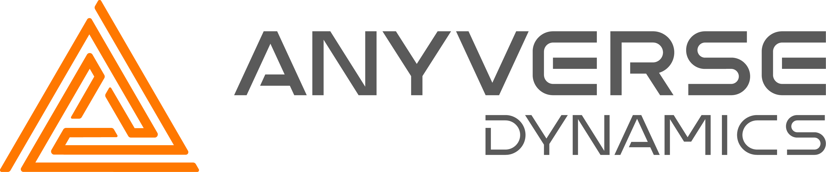 Anyverse Dynamics