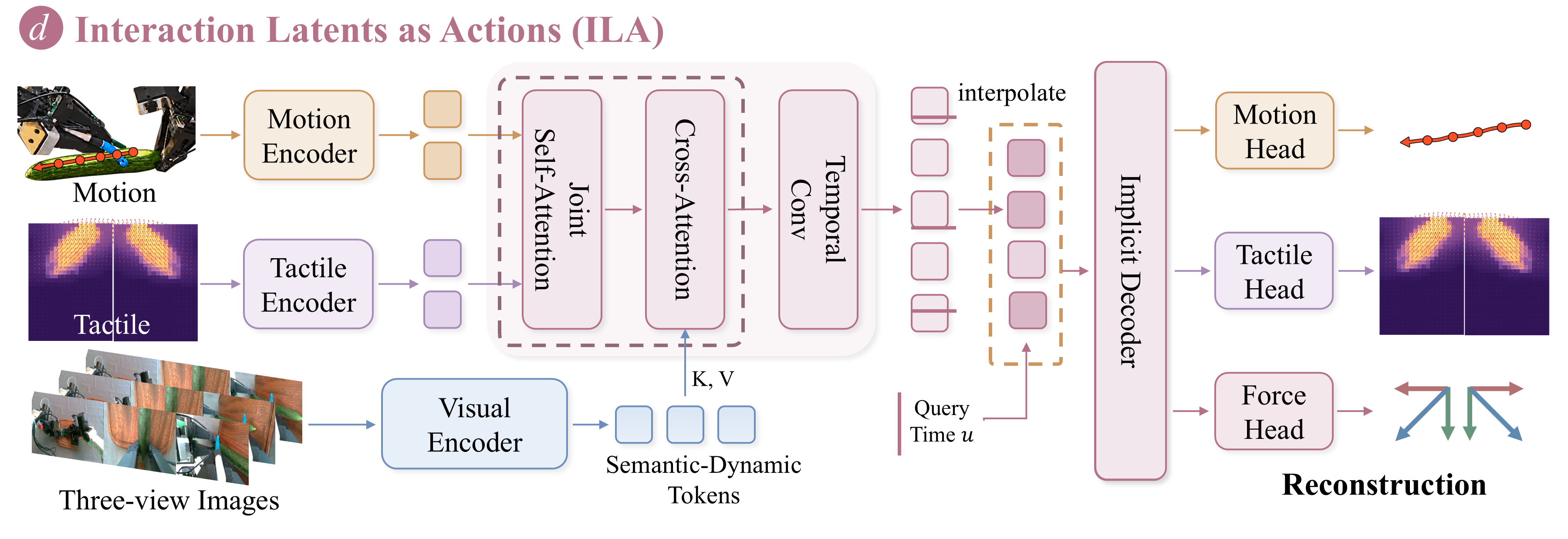 Phoenix-ILA: a joint interaction representation of actions, tactile deformation, and force proxies